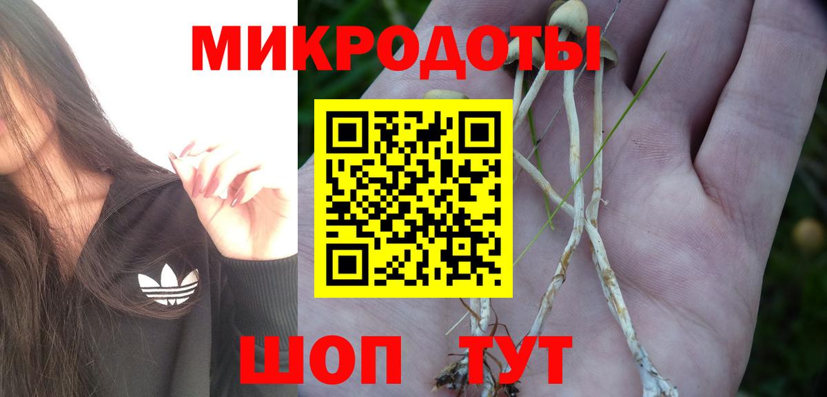 Калуга  Псилоцибиновые грибы Psilocybe  Вход с VPN 